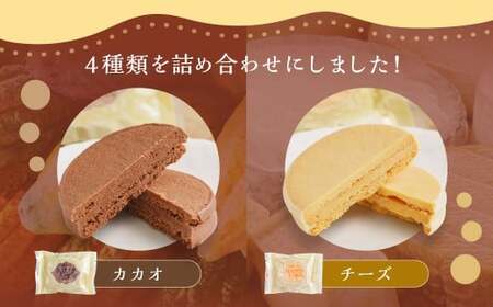 小樽サブレ「マロンコロン」 4種詰め合わせ 10個入りセット