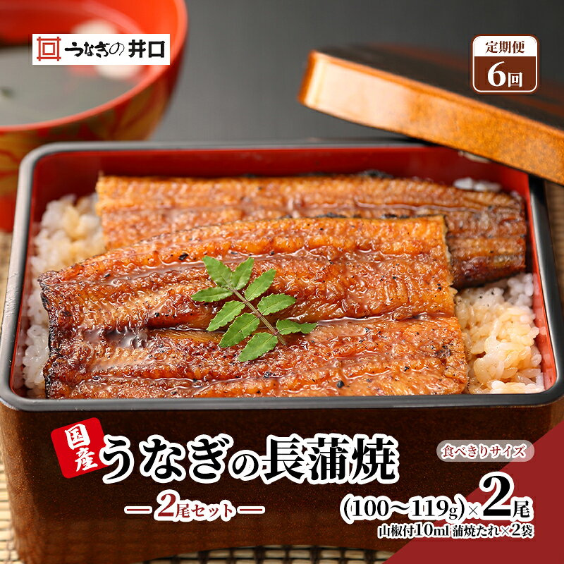 【ふるさと納税】鰻 定期便 国産うなぎ 6ヶ月 2尾 セット 詰め合わせ 6回 蒲焼 ITI優秀味覚賞受賞 ウナギ うなぎの蒲焼 食べ切りサイズ 真空パック 惣菜 和食 静岡県浜松市