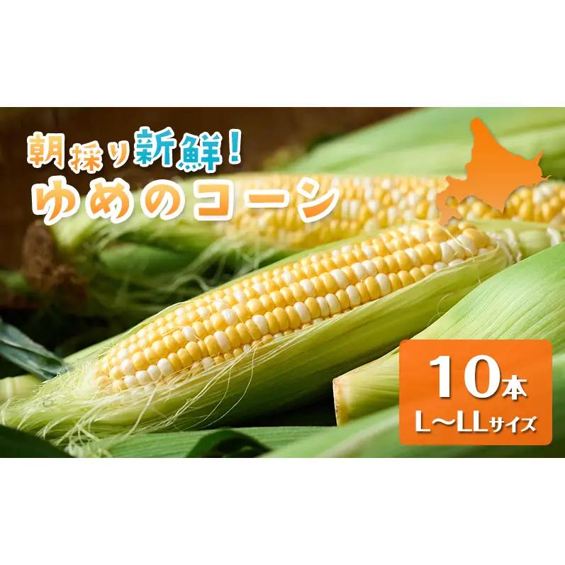 とうもろこし ゆめのコーン 富良野産 とうもろこし【10本 約5kg L～LL】