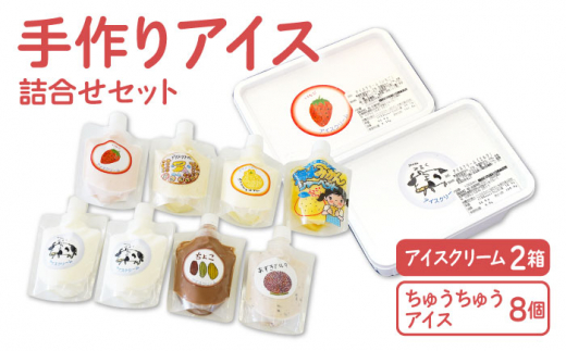 【大容量！おやつにピッタリ♪】手作りアイス詰め合わせセット【佐賀西部コロニー白石作業所】  佐賀県 白石 [ICL003]