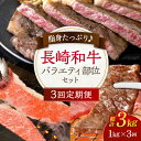 【ふるさと納税】【3回定期便】長崎和牛 バラエティセット 総計約3kg（1kg×3回）【川下精肉店】[OAA021] / 黒毛和牛 冷凍配送 もも肉 うで肉 焼肉 牛肉 冷凍 すき焼き用 すきやき用 しゃぶしゃぶ用 モモ ウデ 国産和牛 国産牛 お取り寄せ 贈答用 A4ランク以上 A5ランク相当