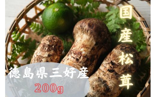【 数量限定 】 松茸 秀品 200g 天然 希少 まつたけ マツタケ 国産 きのこ キノコ 産地直送 秋 旬 高級 焼肉 焼き肉 野菜 きのこ ご飯 土瓶蒸し 先行予約 人気 オススメ お取り寄せ グルメ 目利き 特選 三好市産 秘境 みよし 三好市 徳島県
