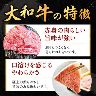 H-112 大和牛焼肉 750g 肉の河内屋