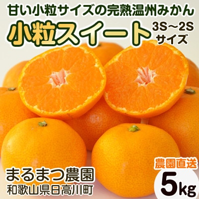 小粒スイート 木成り温州みかん 5kg 濃厚完熟【2026年12月～2027年1月発送】和歌山県産【1553367】