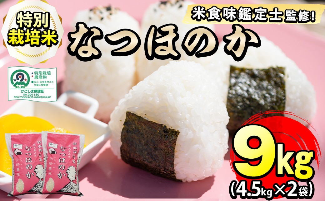 
                  特別栽培米！川崎さん自慢のなつほのか 白米 (4.5kg×2袋・計9kg) 精米 国産 鹿児島県産 志布志 米食味鑑定士 特別栽培米 特別栽培農産物 b0-221
                