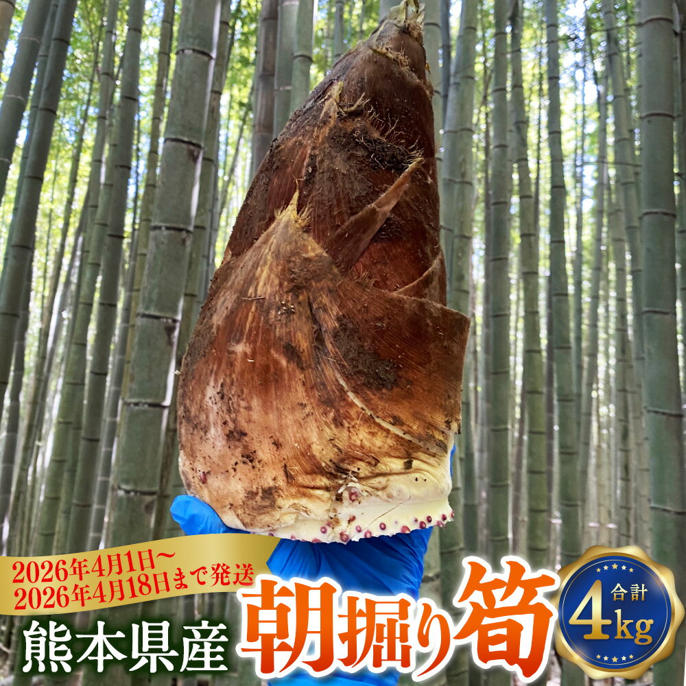 【ふるさと納税】熊本県産朝掘り筍 約4kg たけのこ タケノコ 国産 旬 皮付き 野菜 新鮮 朝掘り 煮物 お吸い物 サラダ 冷蔵 九州 熊本県 送料無料 【2026年4月1日～2026年4月18日発送予定】