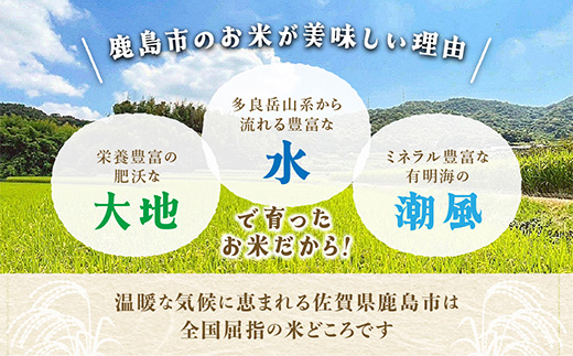 夢しずく 新米 令和7年産 佐賀県産 10kg 白米【 3年連続 特A評価 】B-45
