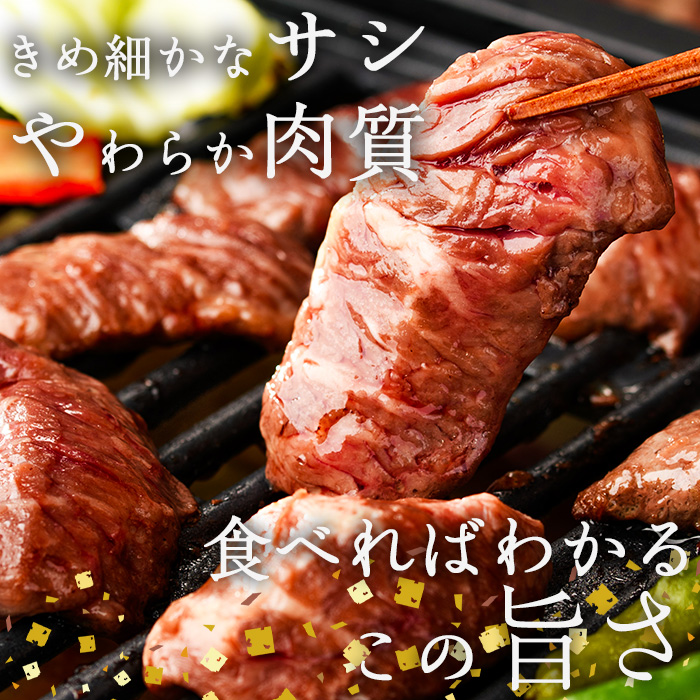 プライム牛 塩ハラミ(計600g) 小分け 牛肉 肉 ハラミ 牛はらみ 味付け 焼肉 塩 BBQ 冷凍 大分県 佐伯市【DH296】【(株)ネクサ】