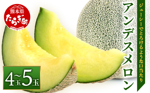 【2026年5月上旬発送開始】熊本県産 アンデスメロン 4〜5玉 約5kg 【 アンデス メロン フルーツ 果物 くだもの 熊本県 多良木町 】 083-0696