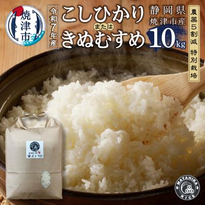 ふるさと納税 焼津市 令和7年産　特別栽培コシヒカリまたはきぬむすめ 白米10kg(5kg×2袋)(a24-074)