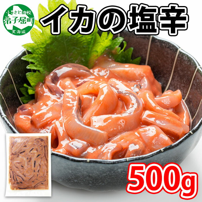 【ふるさと納税】 3163.イカの塩辛 500g イカ 塩辛 スルメイカ いか 烏賊 珍味 海鮮 魚介 ご飯のお供 送料無料 北海道 弟子屈町