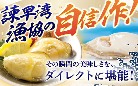 【長崎県小長井町産】「華漣」オリーブオイル漬3瓶