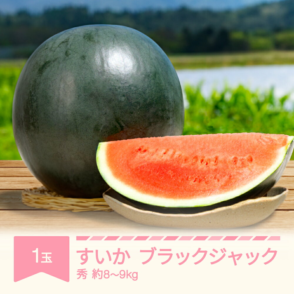 【ふるさと納税】先行予約 すいか ブラックジャック 1玉入り 約8〜9kg 令和7年産 2025年産 果物 送料無料 ※沖縄・離島への配送不可