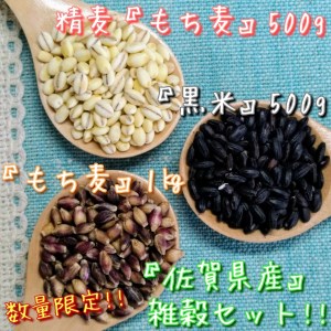 CIB95_佐賀県産もち麦１kg・精麦もち麦500g・黒米500g
