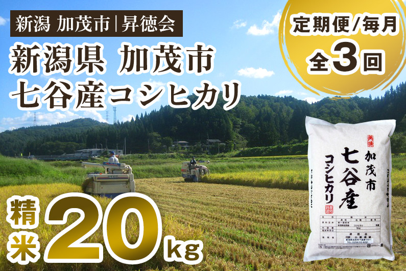 
                  【令和7年産】【定期便3回毎月お届け】新潟県加茂市 七谷産コシヒカリ 精米20kg（5kg×4） 白米 高柳地域産数量限定 昇徳会
                