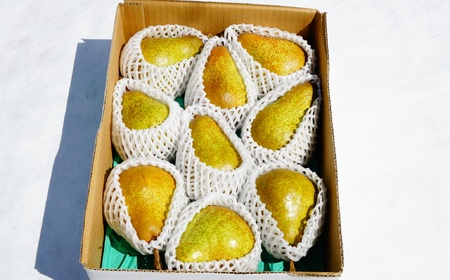 【定期便：全２回】オーロラとラ・フランス　各２.５ｋｇ　0012-2607