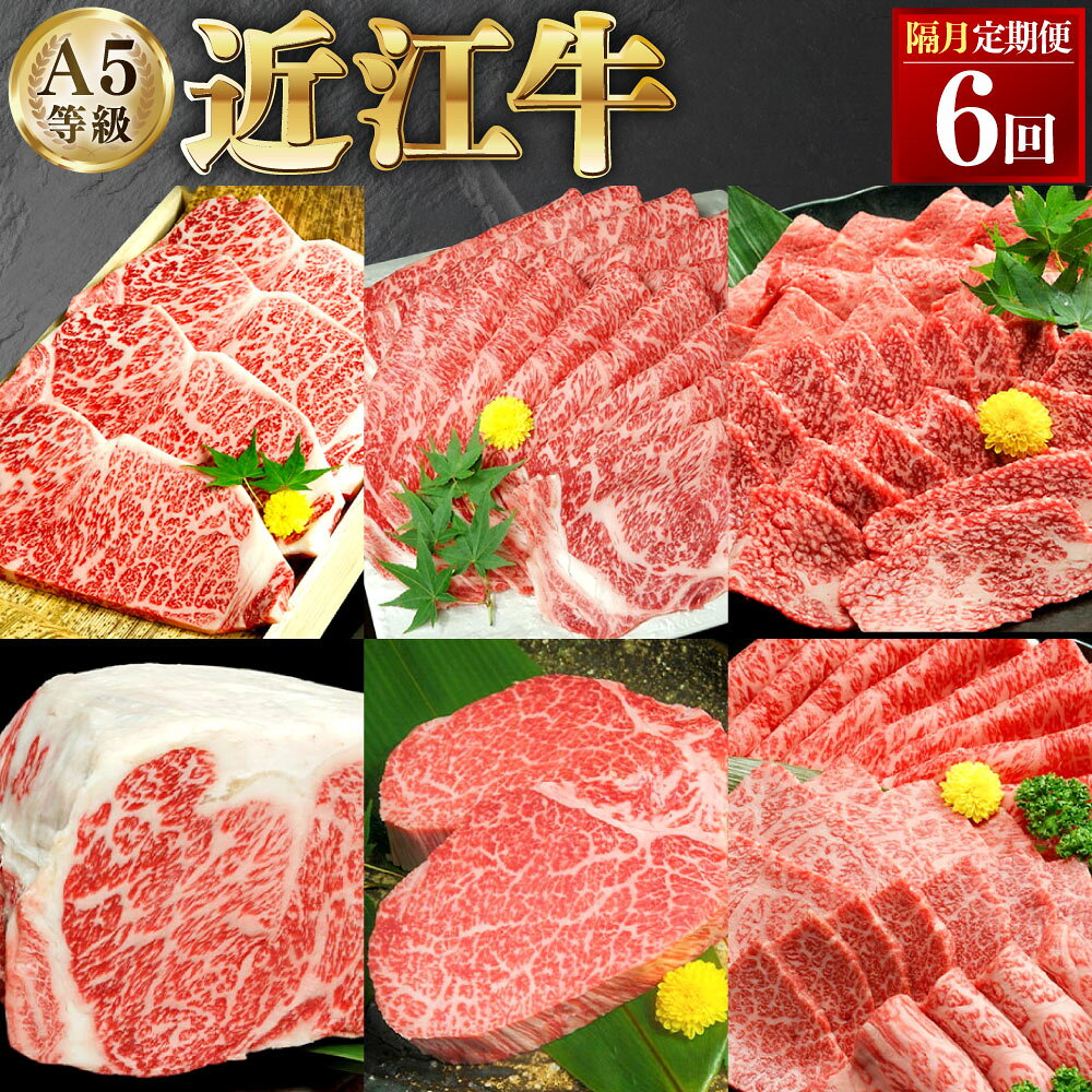 【ふるさと納税】【2ヶ月毎6回定期便】近江牛A5等級の定期便 近江牛 牛肉 お肉 サーロイン ブロック ロース カルビ モモ シャトーブリアン ヒレ みすじ ザブトン ステーキ すき焼 すき焼き すきやき しゃぶしゃぶ 焼肉 焼き肉 冷凍 滋賀県産 国産 滋賀県 湖南市 送料無料