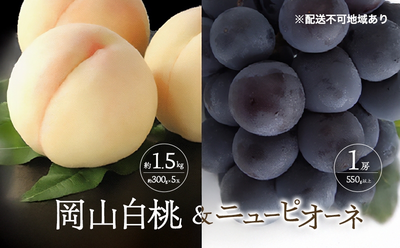 
                  桃 ぶどう 2026年 先行予約 白桃 5玉 合計約1.5kg （1玉 約300g） ニュー ピオーネ 1房 550g もも 葡萄 詰合せ 岡山 国産 フルーツ 果物 ギフト 桃茂実苑
                