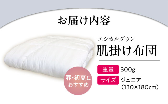 洗える 人工羽毛布団 肌掛け布団 〈ジュニア〉人工羽毛 エントリーモデル 広島県福山市/イシケン株式会社 布団 掛け布団 掛けふとん 日本製 掛布団 薄手 軽い 春 夏 寝具 アレルギー対策 [BAA