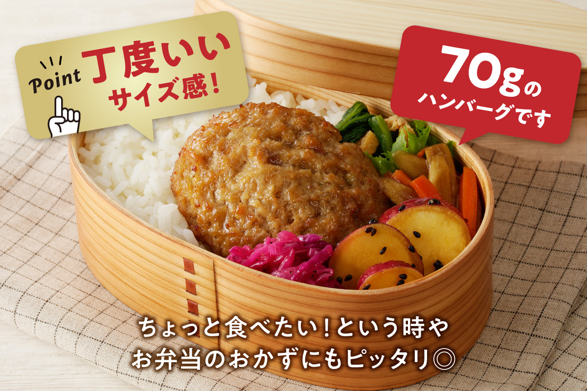 【伊万里牛100%使用】 伊万里牛 ハンバーグ 約70g×24個 計約1.68kg 真空・個包装 183-J1886