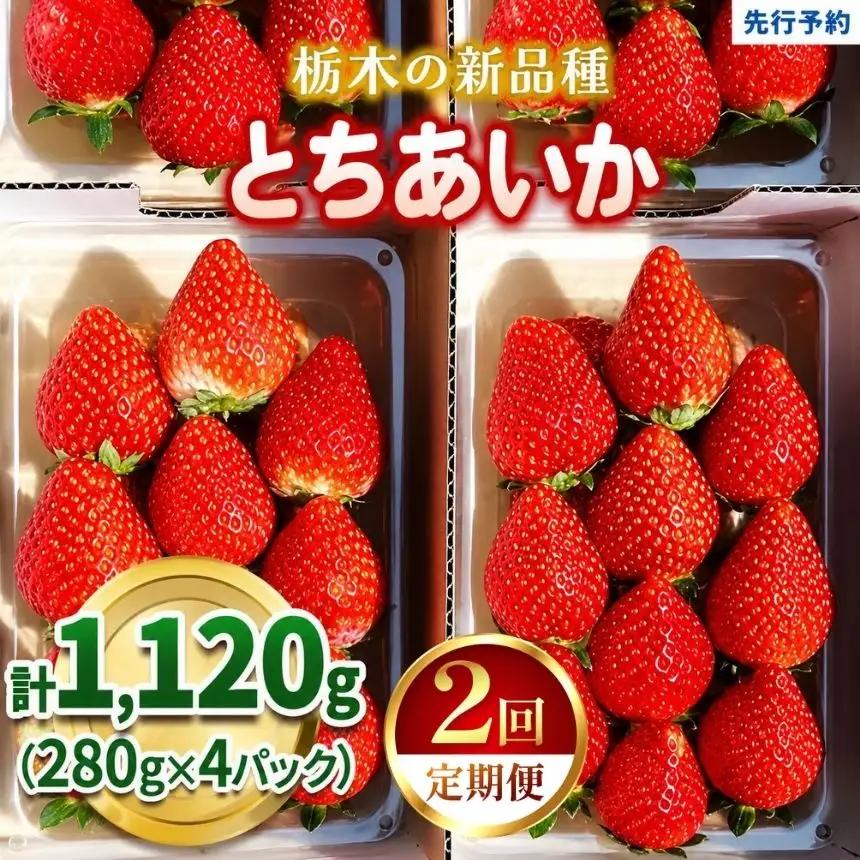【定期便2回】いちご 栃木の新定番 「とちあいか」 1,120g (280g×4P)| 澳原いちご農園 栃木県 矢板市