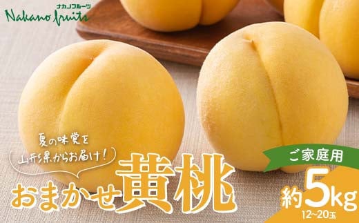 
            【仲野観光果樹園】≪2025年先行予約≫ご家庭用 山形県産 おまかせ 黄桃 約5kg(12～20玉)  2025年8月上旬から順次発送 F2Y-6117
          