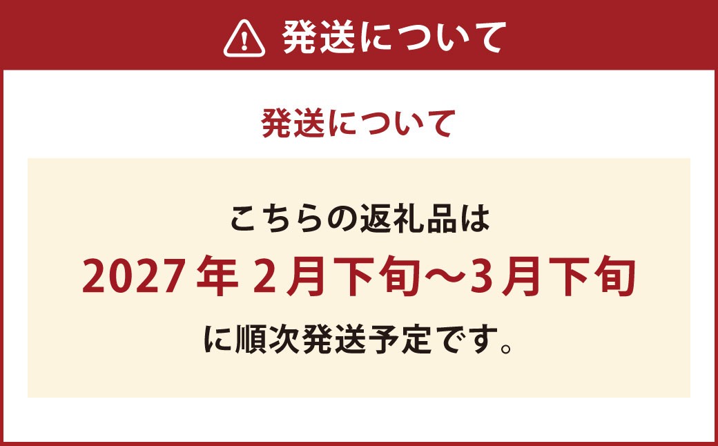 デコポン 約5kg