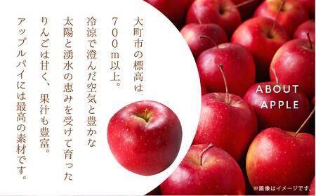 お菓子 焼菓子 アップルパイ 5号 ( 約15cm ) 1台 信州 立田屋