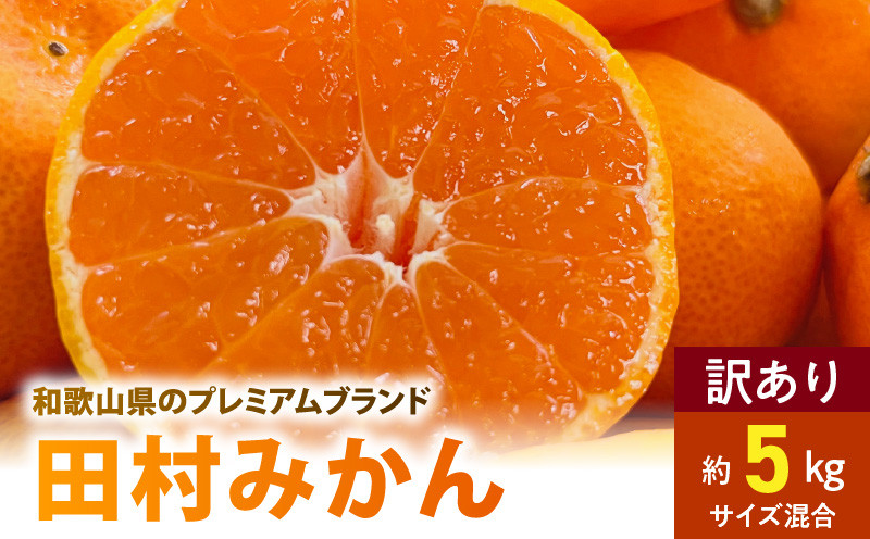 
            AB7301_有田みかん ご家庭用 田村みかん サイズ混合 約5kg _ 有田みかん わけあり 訳あり 和歌山プレミアムブランドみかん 小玉 中玉 大玉 蜜柑 ミカン フルーツ 果物
          