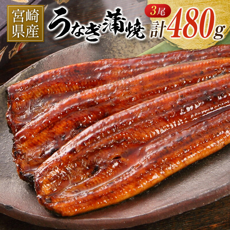 【ふるさと納税】宮崎県産 うなぎ 蒲焼 3尾 計480g 個包装 長焼 国産 鰻