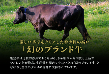 【和牛セレブ】【復興支援】能登牛 定期便「エコノミークラス」全4回  牛肉 最高級 黒毛和牛 和牛 肉汁