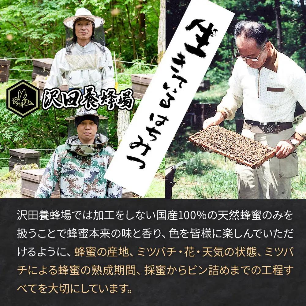 《定期便6ヶ月》はちみつ 天然十和田 アカシア蜂蜜 1200g ビン