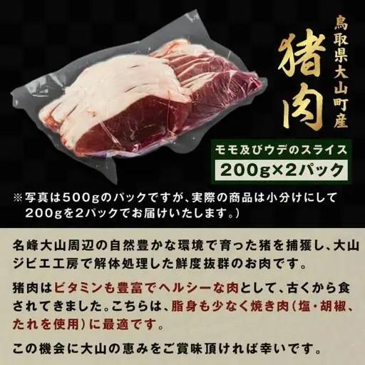 GB-01　猪肉モモ 400ｇ