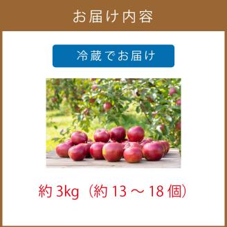 【予約：2024年10月から順次発送】北海道北見市産りんご( 旭 )約3kg ( りんご リンゴ 林檎 果物 フルーツ 期間限定 )【044-0003-2024】