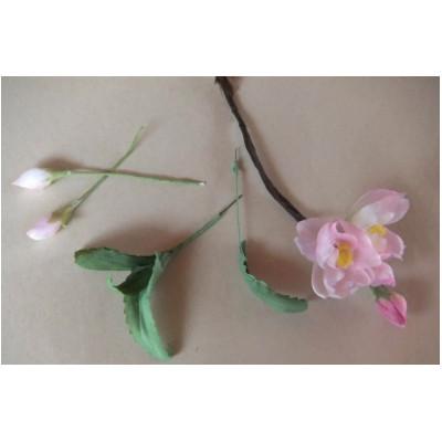ふるさと納税 掛川市 【秋りんどう】四季を彩る創作草もの盆栽(工芸品)〜工房椿 |  | 02
