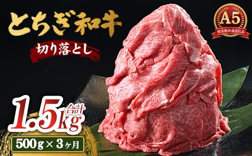 
                  【3ヶ月定期便】とちぎ和牛 A5 切り落とし 500g【栃木県共通返礼品・栃木県産】｜とちぎ和牛切り落とし国産 とちぎ和牛切り落とし和牛 和牛 栃木県産牛肉 栃木県産肉 和牛肉 切り落し 切落し きりおとし キリオトシ 和牛 国産 牛肉 肉 栃木県産 国産牛肉 切り落とし肉 牛肉切り落とし
                