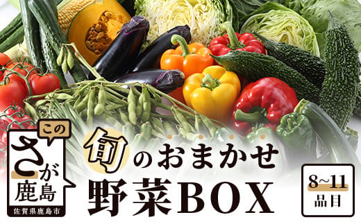 
            旬のおまかせ 野菜BOX 単品 【8~11品目】 野菜 フルーツ 果物 旬 セット 詰め合わせ ふるさと納税 佐賀県 鹿島市 AA-4
          