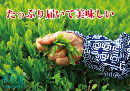085-3 【 増量 】 牧之原 ・ 深蒸し 茶 1.1?s 大容量（100ｇ×11本小分け真空パック） 日用品 簡単 日常 便利 お手軽  藤波園 静岡県 牧之原市
