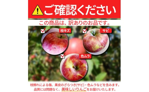 【 訳あり品 】 長野県産 ・ サンふじ (約5kg)＜2027年1月上旬～2月上旬発送＞ | 果物 くだもの フルーツ 訳あり サンふじ サンフジ りんご リンゴ 林檎 長野県 信州 南信州 飯田市