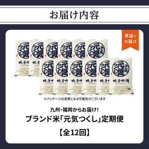 九州・福岡からお届け！ブランド米「元気つくし」定期便【全12回】★北海道・沖縄・離島配送不可★ 072-T072