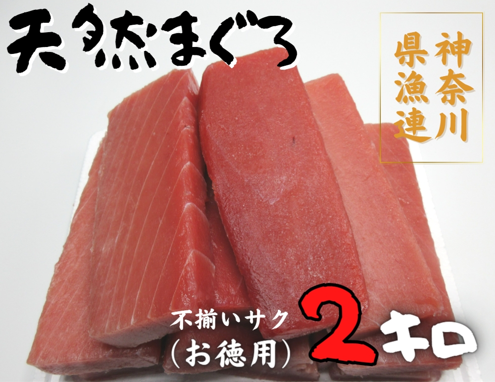 B26-009 神奈川県漁連　天然マグロ 2ｋｇ【お徳用】不揃いサク