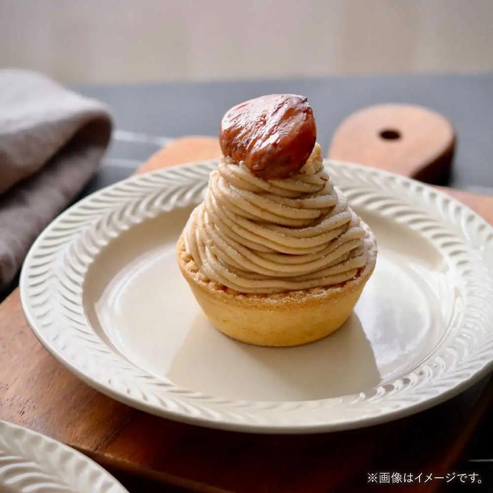 【波佐見焼】ローズマリー　リムプレートM アイボリー 2枚セット　食器 皿【翔芳窯】[FE582]
