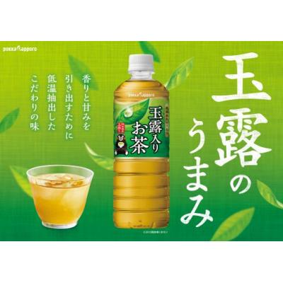ふるさと納税 小山町 【定期便3か月コース】玉露入りお茶600ml×24本入【北海道・沖縄・離島　配送不可】×3