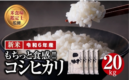 【 令和6年産 】田村産 コシヒカリ 20kg ( 5kg × 4袋 )  精米 白米 贈答 ギフト プレゼント 美味しい 米 kome コメ ご飯 ブランド米 精米したて お米マイスター 匠 食味鑑定士 福島 ふくしま 田村 安藤米穀店