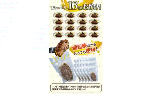 馬肉ハンバーグ 16個セット 130g×16個 千興ファーム 《60日以内に出荷予定(土日祝除く)》 熊本県 ---mifune_snk_25_16set---