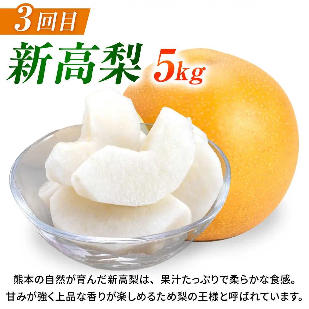 【先行予約】【3回定期便】 梨 約5kg 計約15kg（豊水・秋月・新高）  梨 ナシ フルーツ 果物 【日本フルーツ株式会社】 [ZFJ024]