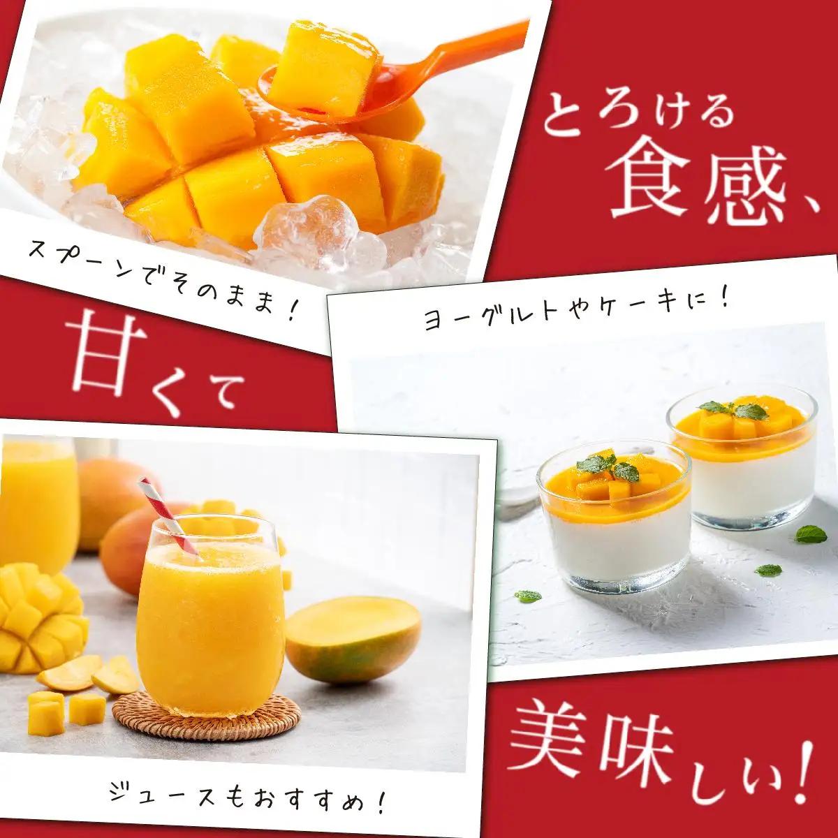 ＜先行予約＞ミニマンゴー1kg 贈答用   I  ミニ マンゴー 1kg 贈答 用 フルーツ 果物 ギフト   沖縄県 南城市 ふるさと納税 石崎ファーム