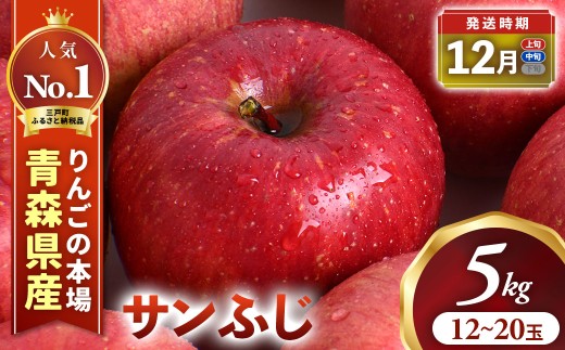 りんご【サンふじ】約5kg（12～20玉）【2026年産・先行予約】★2026年12月上旬～12月中旬頃発送予定★ 青森県三戸町産 りんご サンふじ 2026年産 先行予約 サンふじりんご 旬 甘い 