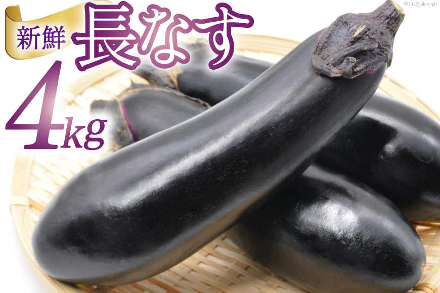 
【期間限定発送】 野菜 長ナス 33～39本前後 4kg箱 [ラハマン農園 山梨県 中央市 21470840] ナス なす 茄子 やさい 大容量 期間限定 季節限定 数量限定 産地直送
