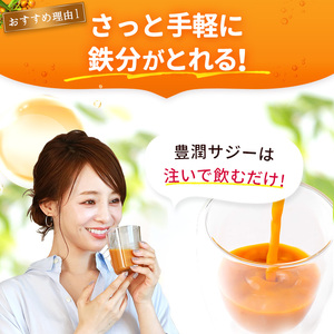 豊潤サジー 1000ml×5本セット サジージュース【紙パックタイプ】 鉄 鉄分 果実